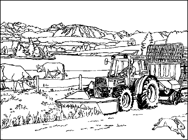 Un Voyage Coloré au Coeur de la Ferme