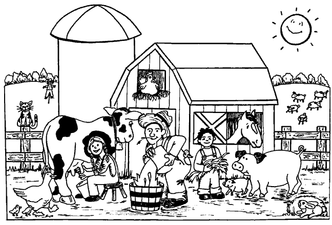 Un Voyage Coloré au Coeur de la Ferme