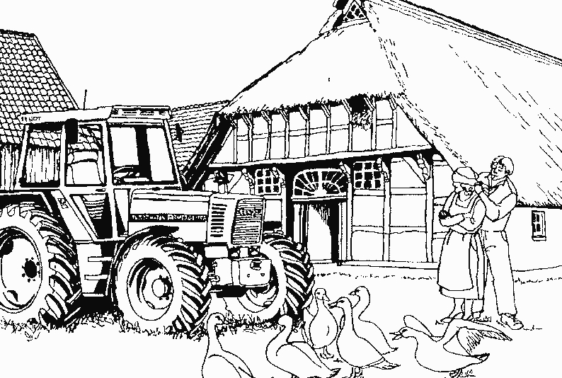 Un Voyage Coloré au Coeur de la Ferme