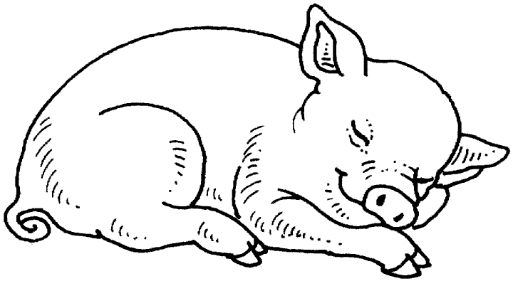 Un Voyage au Coeur de la Ferme : Coloriage Animaux Charmants