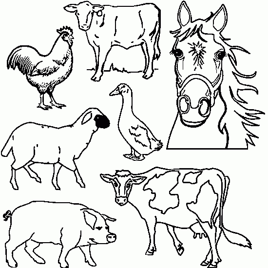 Scène de vie à la ferme avec des animaux en plein air