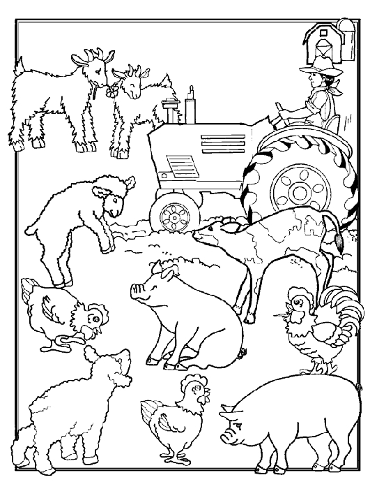 Scène de coloriage d'animaux de la ferme dans un enclos herbeux