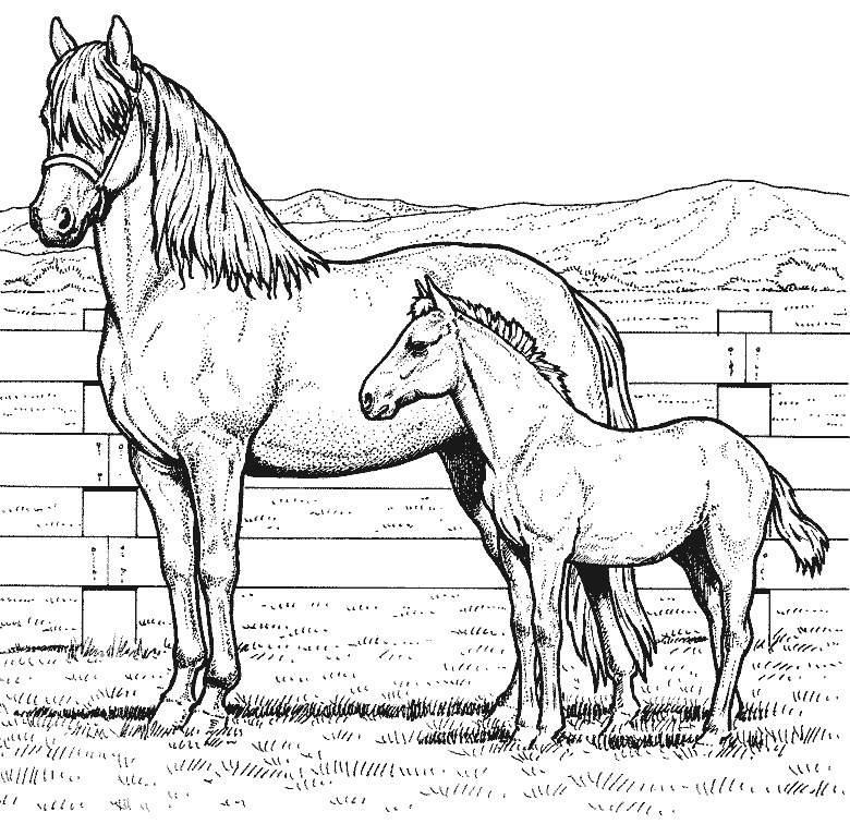Scène de coloriage d'animaux de la ferme en pleine activité