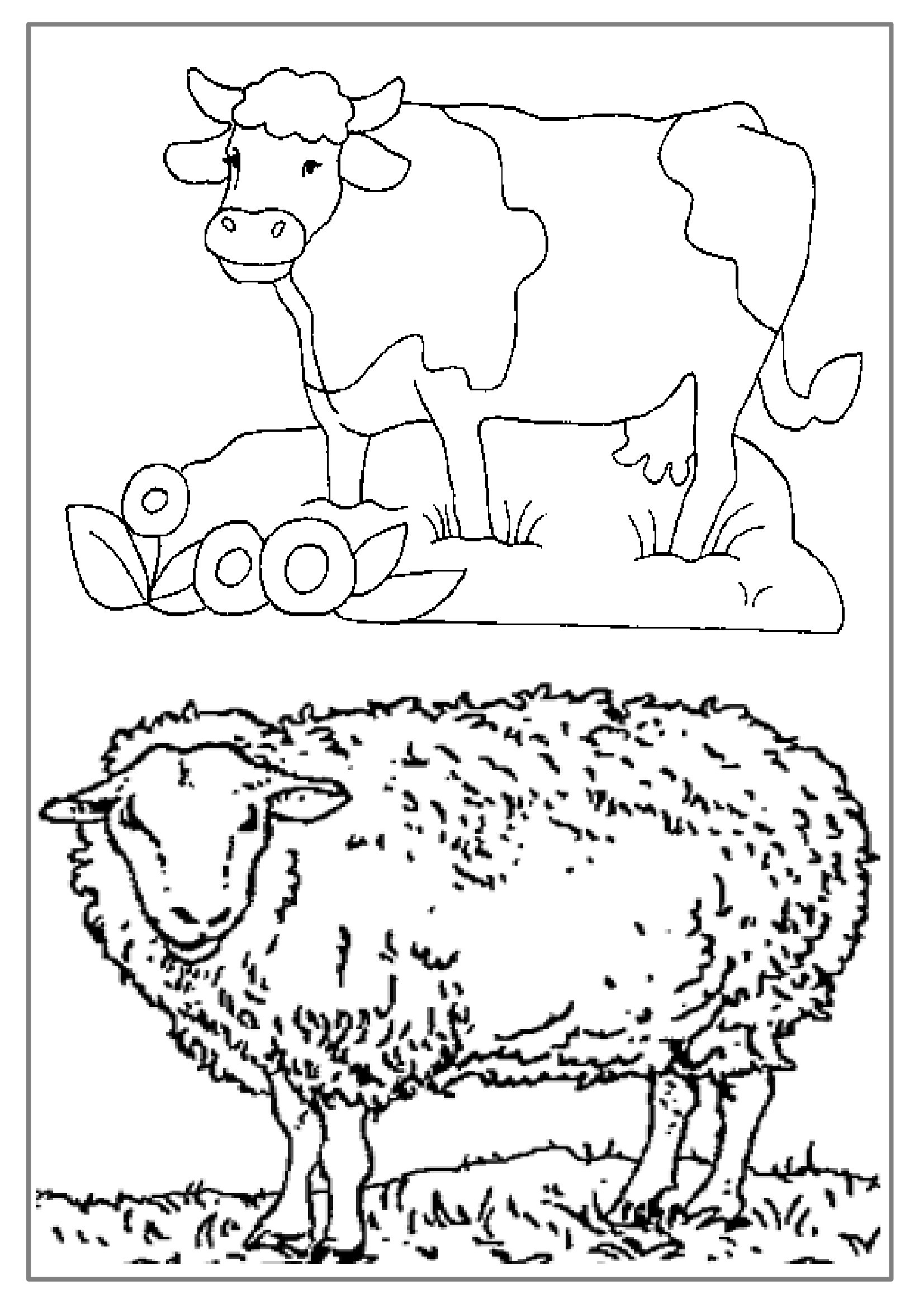 Scène de la ferme avec un cheval et un cochon dans un champ Scène de la ferme avec un cheval et un cochon dans un champ