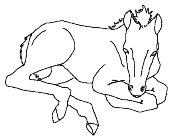 Coloriage d'un groupe d'animaux de la ferme en pleine activité