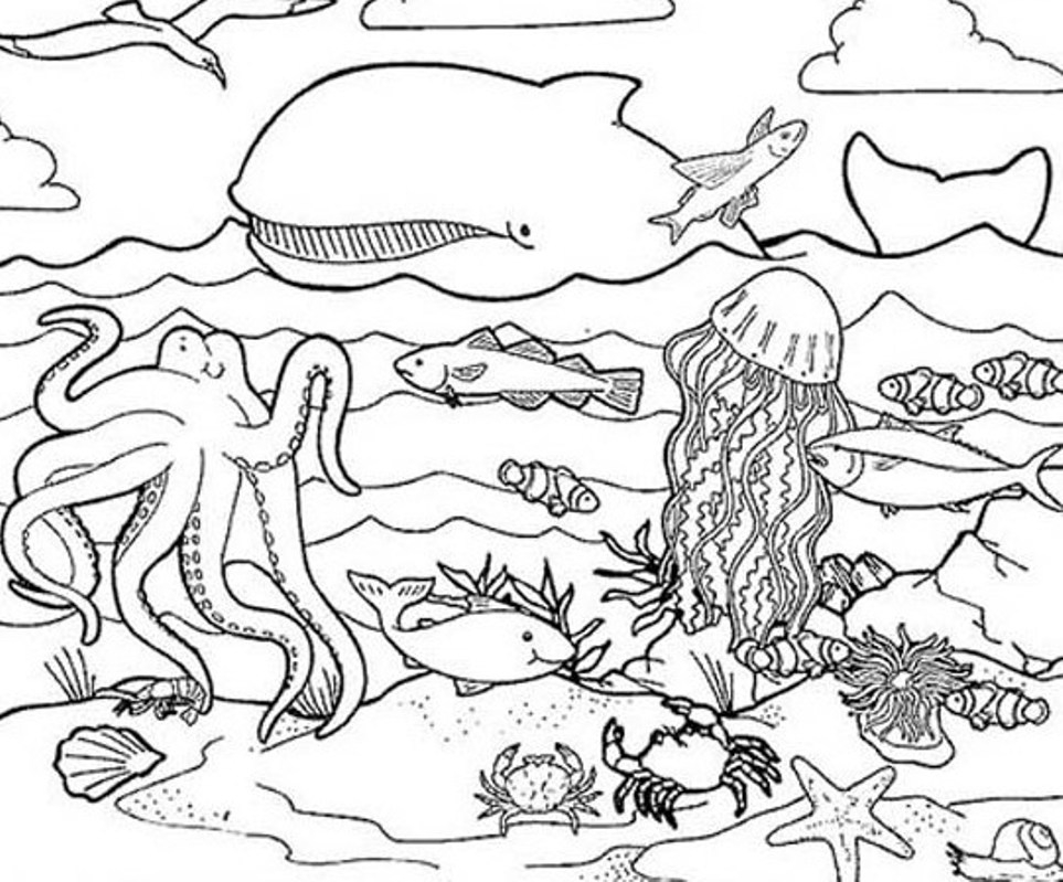 Coloriage d'animaux marins explorant un récif corallien