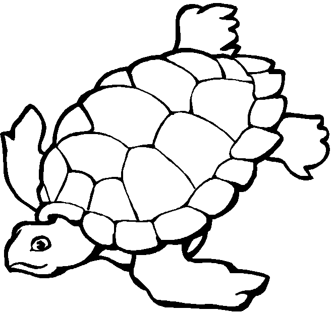 Coloriage d'animaux marins dans un décor aquatique