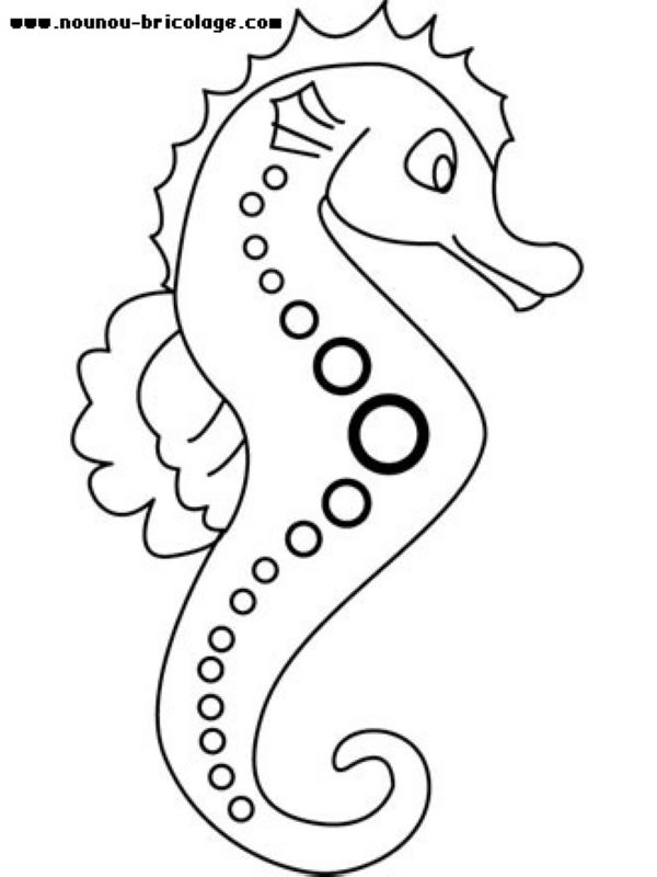 Coloriage d'animaux marins évoluant dans leur habitat naturel