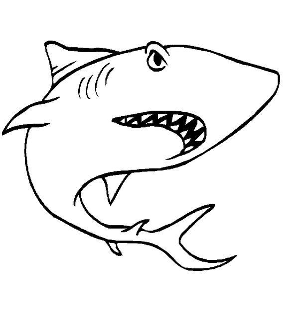 Coloriage d'animaux marins évoluant dans un fond sous-marin Coloriage d'animaux marins évoluant dans un fond sous-marin