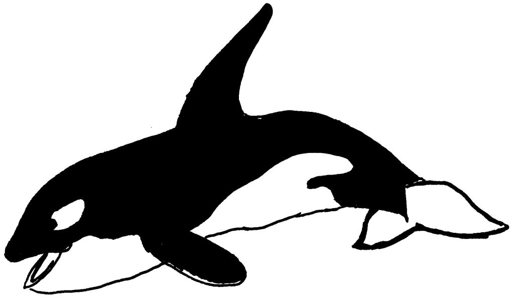 Scène de coloriage d'animaux marins en pleine activité sous l'eau