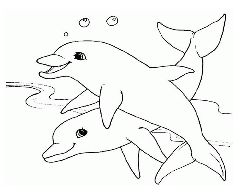 Scène de vie marine avec des animaux colorés et des éléments aquatiques