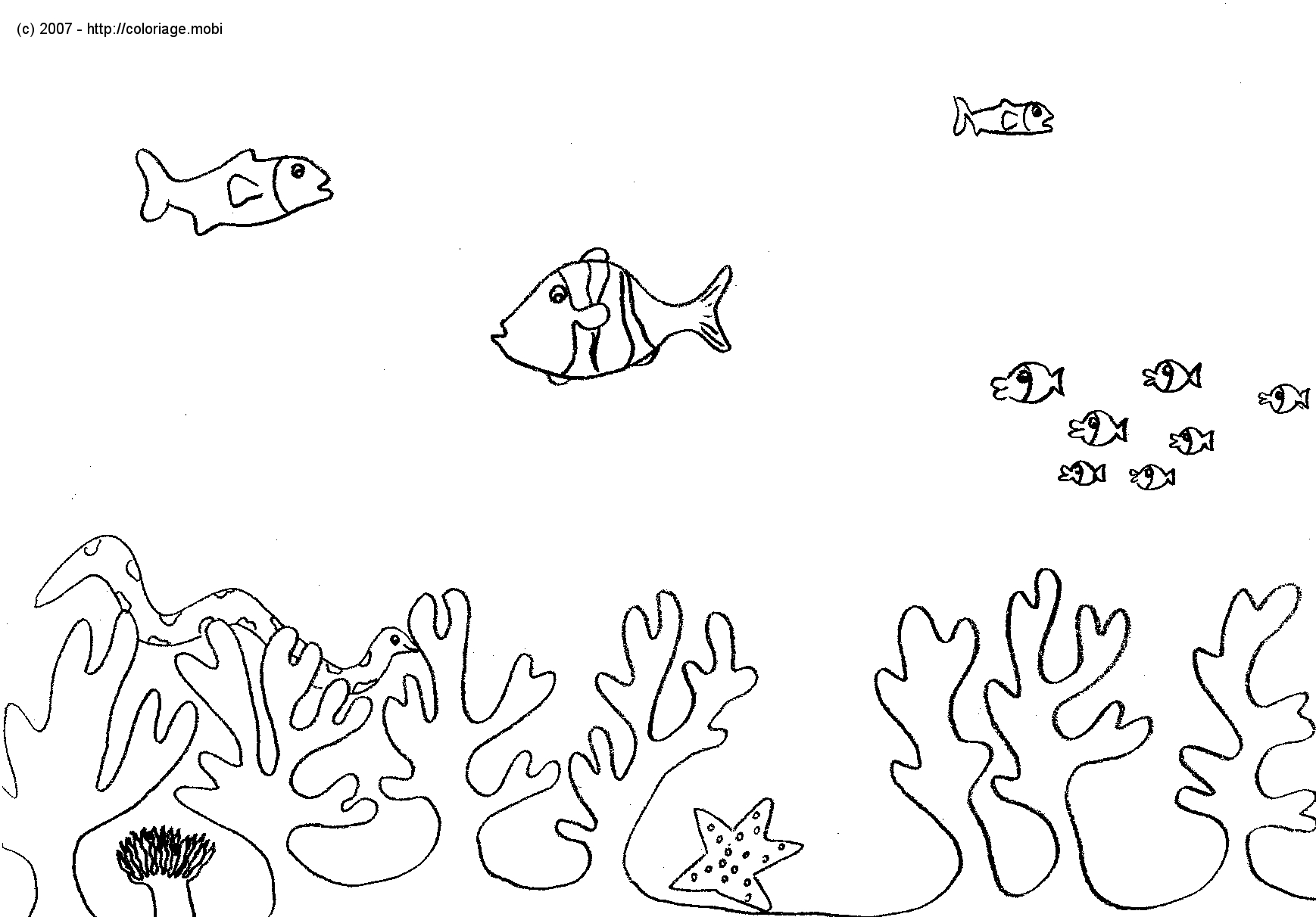 Coloriage d'animaux marins évoluant dans un océan animé