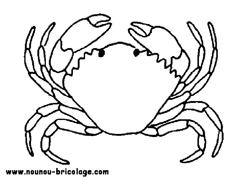 Coloriage d'animaux marins évoluant dans un décor océanique