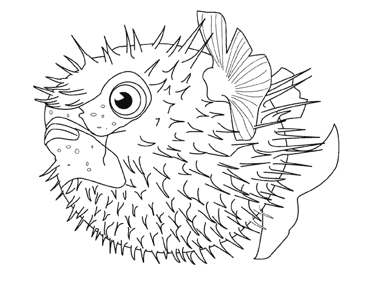 Coloriage d'animaux marins évoluant dans un décor sous-marin