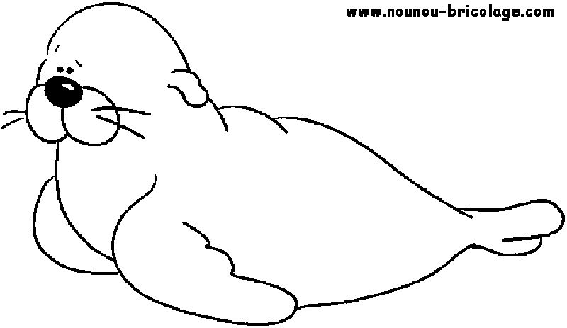 Coloriage d'animaux marins évoluant dans un univers aquatique