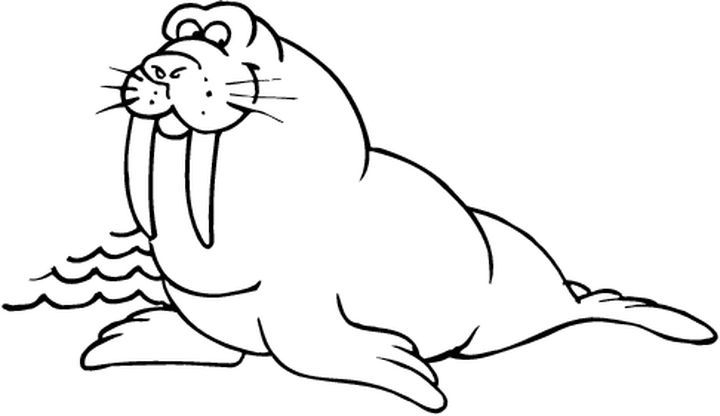 Coloriage d'animaux marins évoluant dans un environnement aquatique