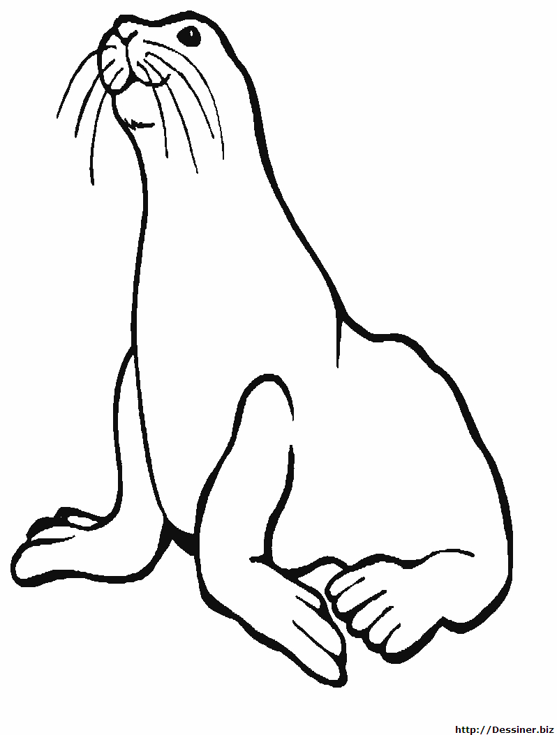 Coloriage d'animaux marins évoluant dans un décor sous-marin