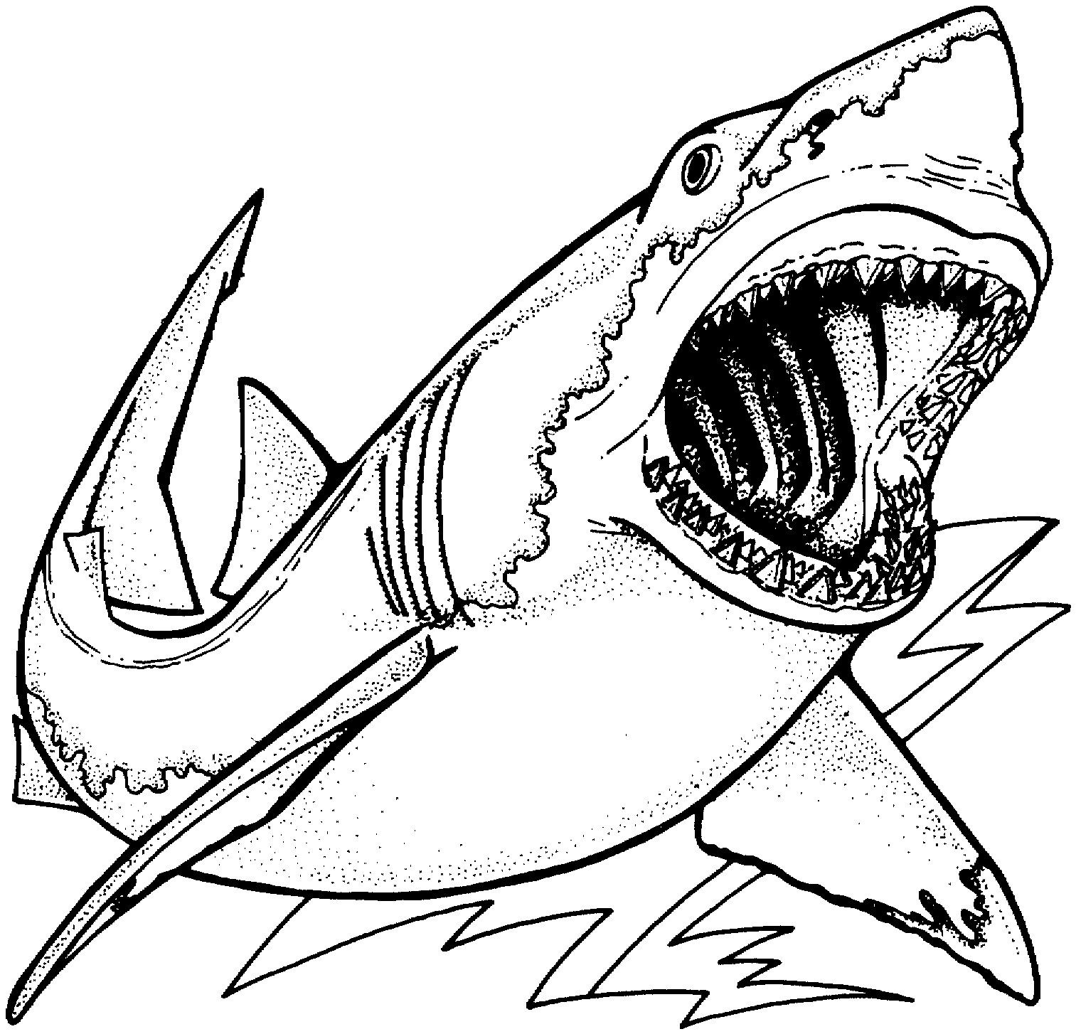 Coloriage d'animaux marins évoluant dans leur habitat naturel