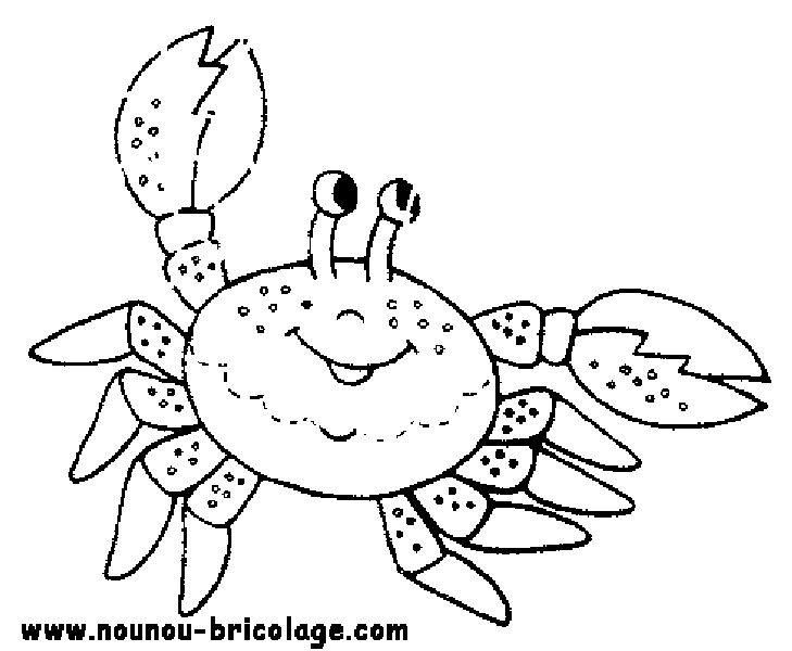 Coloriage d'animaux marins évoluant dans leur habitat naturel
