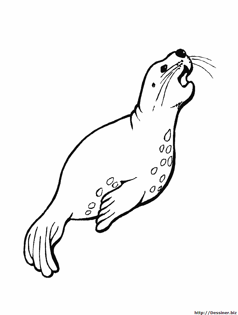 Coloriage d'animaux marins évoluant dans leur habitat naturel