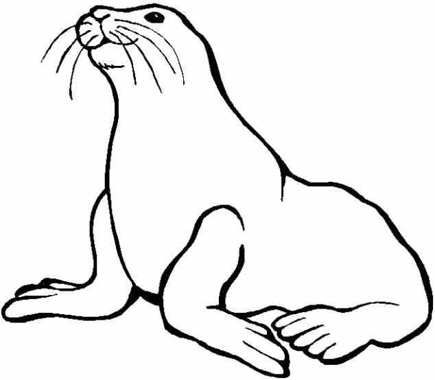 Coloriage d'animaux marins évoluant dans un décor sous-marin