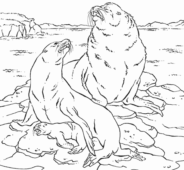 Coloriage d'animaux marins en pleine activité dans un fond sous-marin