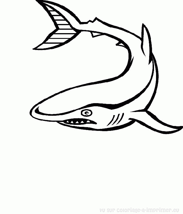 Scène sous-marine avec divers animaux marins en interaction