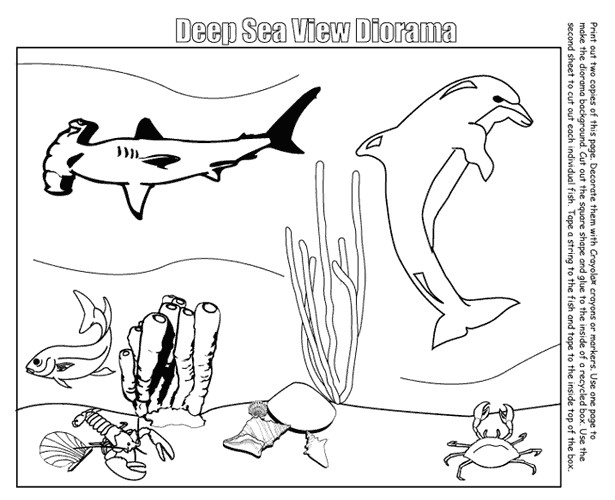 Scène de coloriage d'animaux marins évoluant dans leur habitat