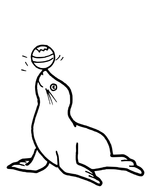 Coloriage d'animaux marins dans leur habitat naturel