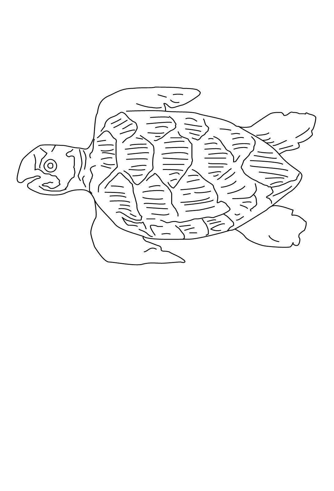 Coloriage d'animaux marins évoluant dans un monde sous-marin