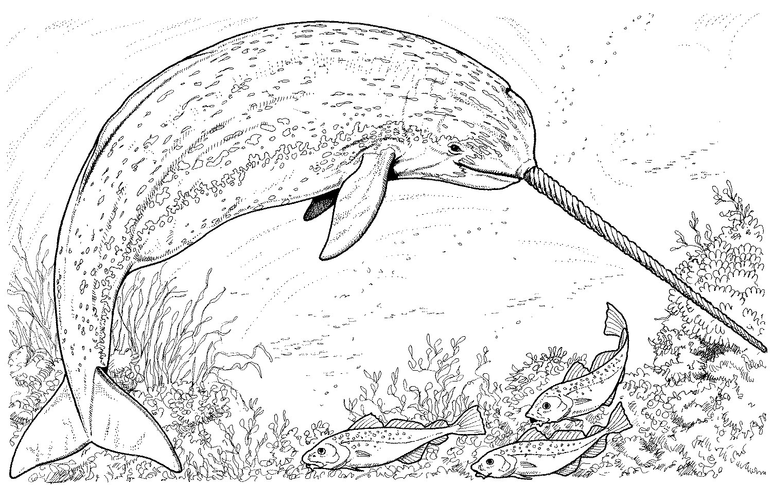Scène sous-marine avec un poisson clown et des coraux colorés
