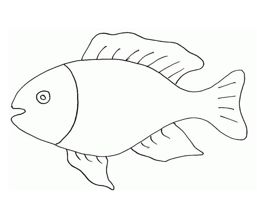 Coloriage d'animaux marins évoluant dans leur habitat naturel