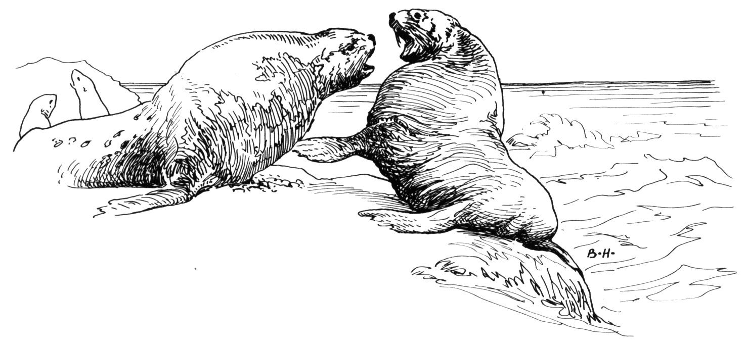 Coloriage d'animaux marins évoluant dans un fond sous-marin