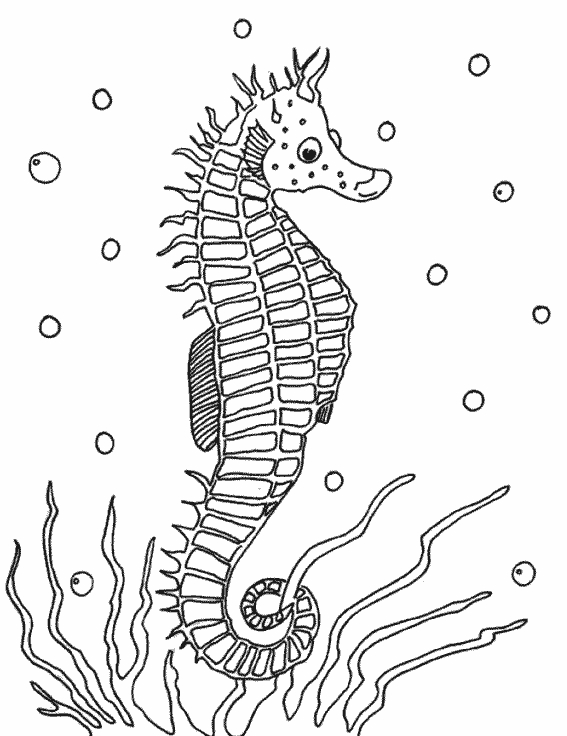 Coloriage d'animaux marins évoluant dans un paysage océanique