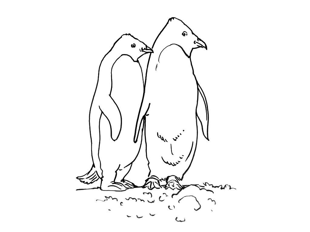 Coloriage d'animaux marins évoluant dans un monde sous-marin