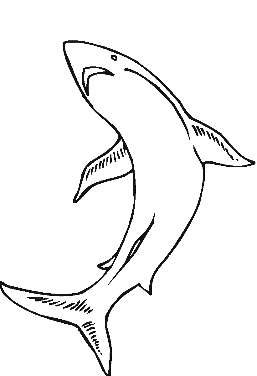 Coloriage d'animaux marins évoluant dans un océan vibrant