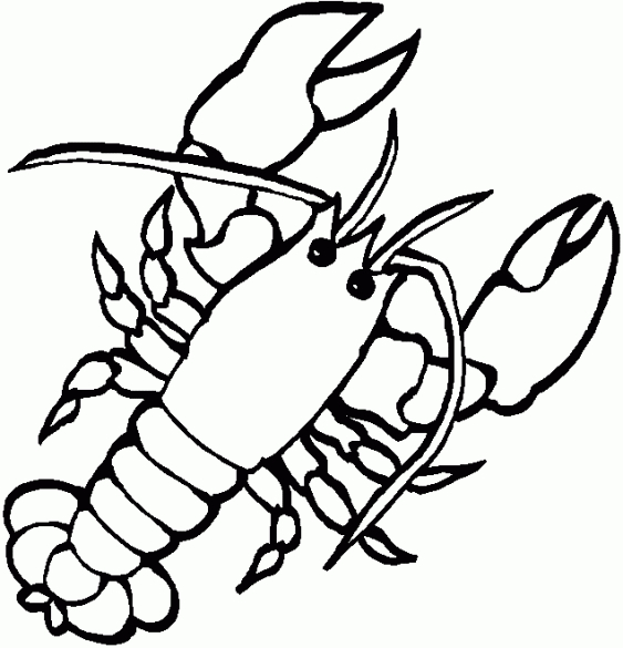 Coloriage d'animaux marins dans un monde sous-marin