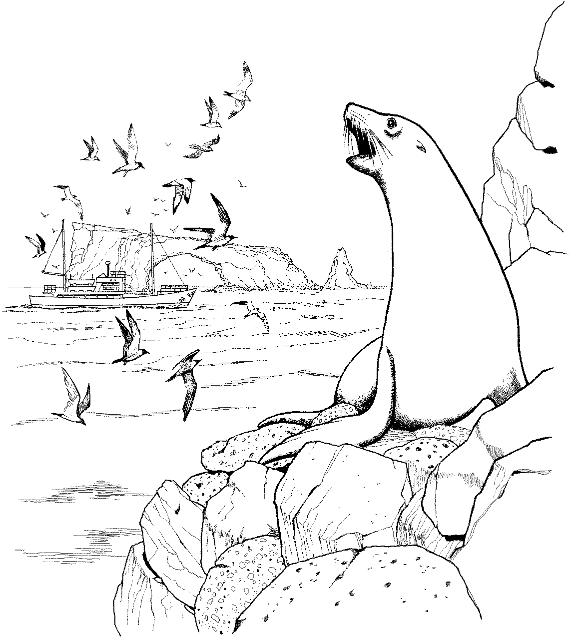 Coloriage d'animaux marins dans un environnement aquatique