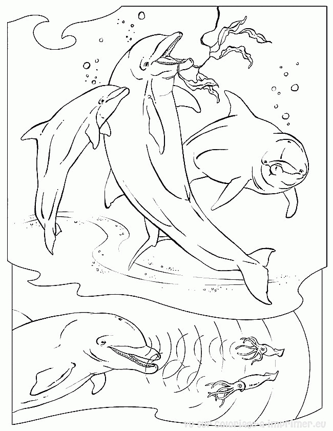 Scène sous-marine avec des animaux marins colorés