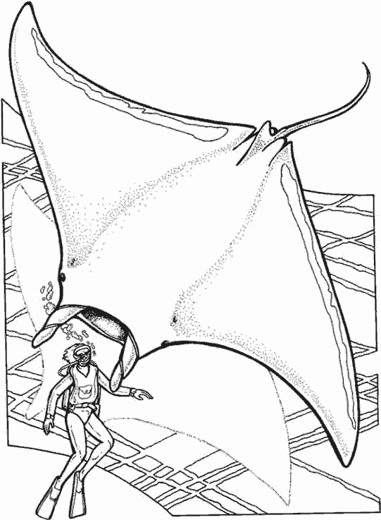 Coloriage d'animaux marins dans leur habitat naturel