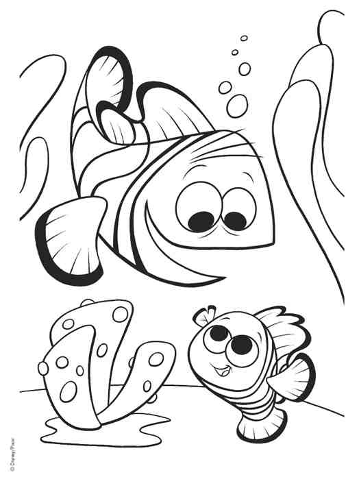 Coloriage d'animaux marins évoluant dans un environnement aquatique