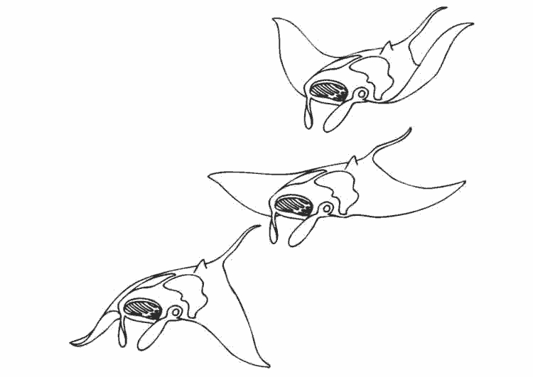 Coloriage d'animaux marins évoluant dans un fond océanique