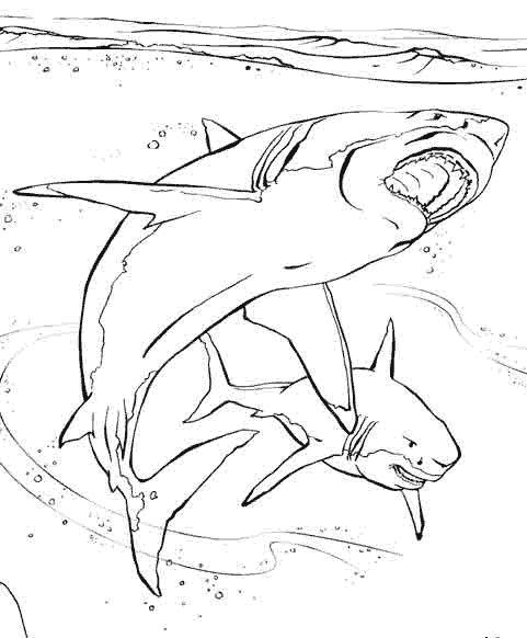 Coloriage d'animaux marins dans un paysage sous-marin