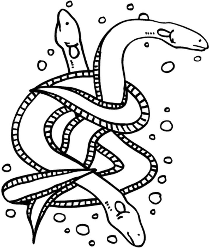 Coloriage d'animaux marins en pleine activité dans un décor océanique