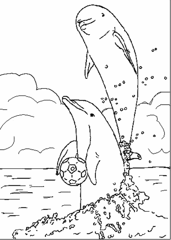 Coloriage d'animaux marins évoluant dans un décor sous-marin