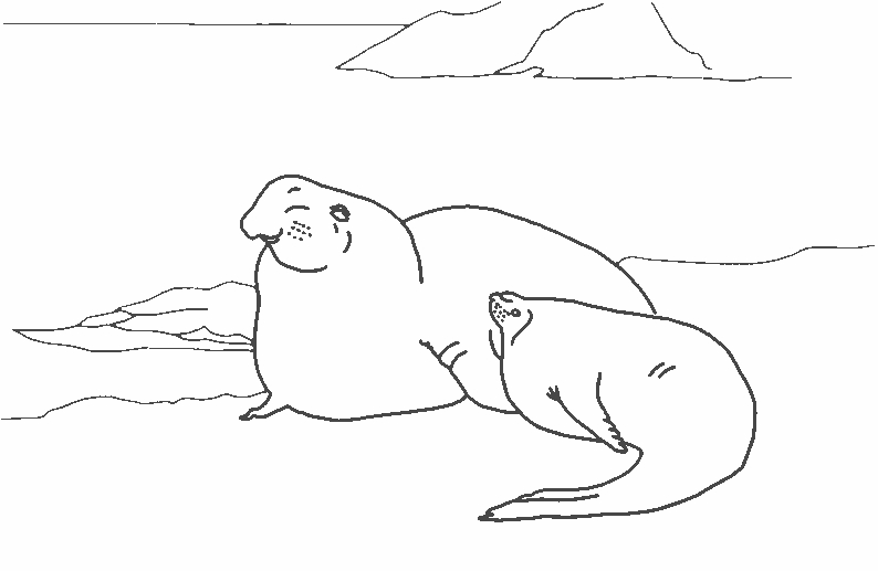 Coloriage d'animaux marins évoluant dans un paysage océanique