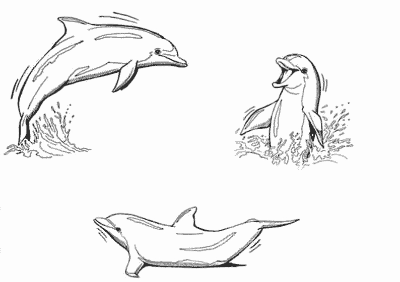 Scène animalière sous-marine avec un dauphin et des poissons colorés