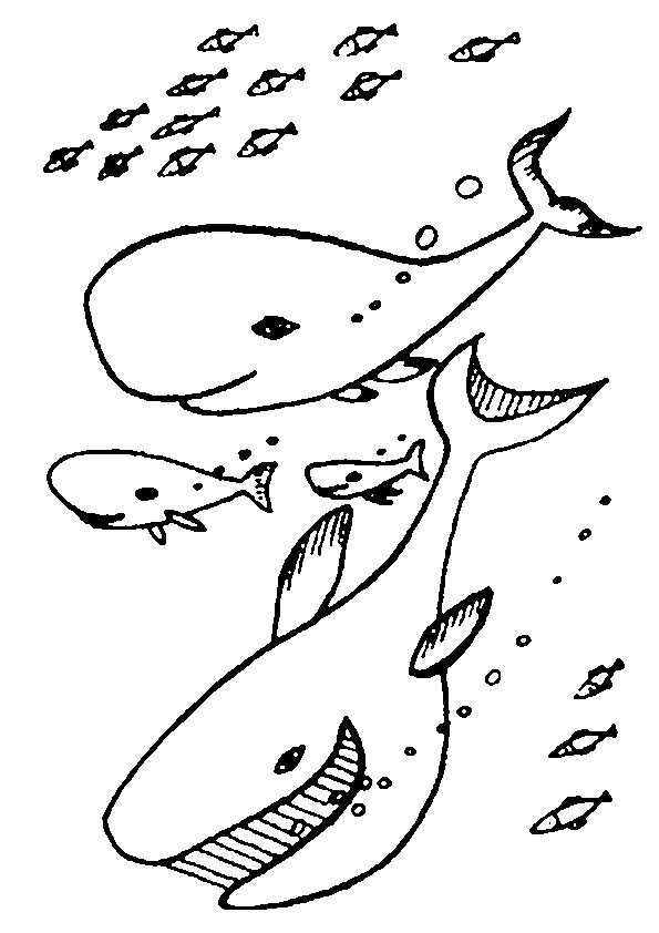 Coloriage d'animaux marins évoluant dans un décor sous-marin