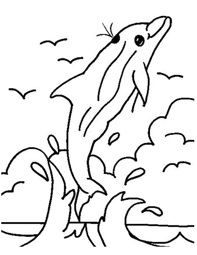 Coloriage d'animaux marins évoluant dans un décor aquatique