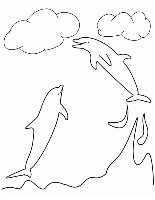 Coloriage d'animaux marins évoluant dans leur habitat naturel